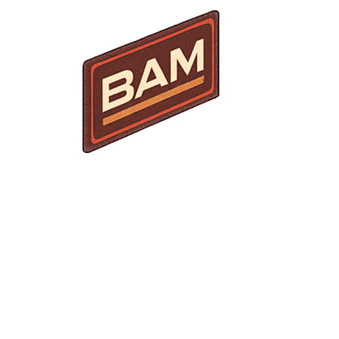 BAMTV Display